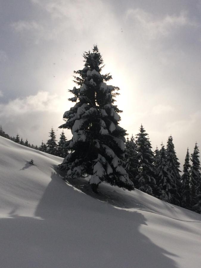 Appartements Feroli Dienten am Hochkönig Esterno foto