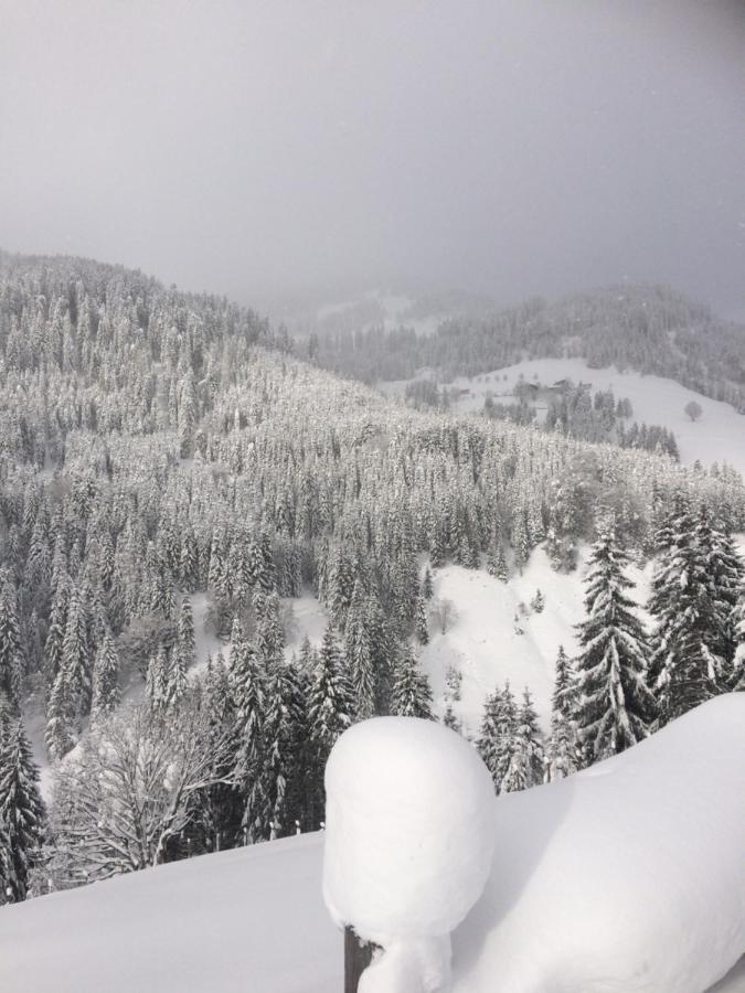 Appartements Feroli Dienten am Hochkönig Esterno foto